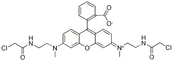 N,N’-二[2-(氯乙酰氨基)乙基]-N,N’-二甲基玫瑰精结构式_203580-79-4结构式