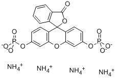 Fluorescein diphosphate, tetraammonium salt Structure,217305-49-2Structure