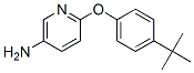 5-Amino-2-(4-tert-butylphenoxy)pyridine Structure,218457-67-1Structure