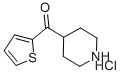 哌啶-4-基(噻吩-2-基)甲酮盐酸盐结构式_219540-76-8结构式