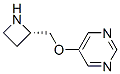 (9CI)-5-[(2S)-2-氮杂啶甲氧基]-嘧啶结构式_228866-56-6结构式