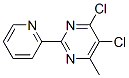 4,5-Dichloro-6-methyl-2-(2-pyridyl)pyrimidine Structure,306935-55-7Structure