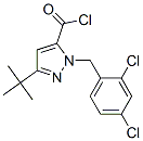 3-叔丁基-1-(2,4-二氯苄基)-1H-吡唑-5-羰酰氯结构式_306937-15-5结构式