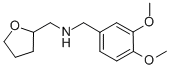 (3,4-二甲氧基-苄基)-(四氢-呋喃-2-基-甲基)-胺结构式_346704-26-5结构式