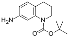 7-氨基-3,4-二氢喹啉-1(2H)-羧酸叔丁酯结构式_351324-70-4结构式