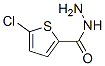 5-Chloro-2-thiophenecarboxylic acid hydrazide Structure,351983-31-8Structure