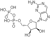 2-氨基嘌呤核苷二磷酸酯结构式_36475-53-3结构式