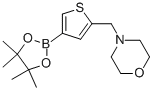 4-{[4-(4,4,5,5-Tetramethyl-1,3,2-dioxaborolan-2-yl)thien-2-yl]methyl}morpholine Structure,364794-85-4Structure