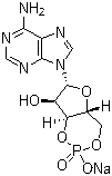 环磷酸腺苷钠盐结构式_37839-81-9结构式