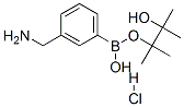 3-氨基甲基苯硼酸叔那醇酯盐酸盐结构式_380430-65-9结构式