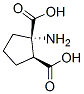 (+/-)-1-Aminocyclopentane-cis-1,2-dicarboxylic acid Structure,39026-64-7Structure