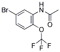 N-[5-溴-2-(三氟甲氧基)苯基]-乙酰胺结构式_392726-69-1结构式