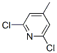 2,6-Dichloro-4-methylpyridine Structure,39621-00-6Structure