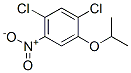 Benzene, 1,5-dichloro-2-(1-methylethoxy)-4-nitro- Structure,41200-97-9Structure