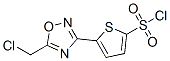 5-[5-(氯甲基)-1,2,4-噁二唑-3-基]-2-噻吩磺酰氯结构式_423768-39-2结构式