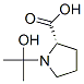 (9ci)-1-(1-羟基-1-甲基乙基)-L-脯氨酸结构式_436159-71-6结构式