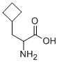 2-氨基-3-环丁基丙酸结构式_4426-06-6结构式