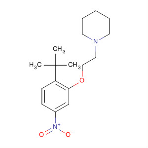 1-[2-(2-Tert-butyl-5-nitro-phenoxy)-ethyl]-piperidine Structure,442846-88-0Structure