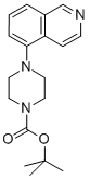 4-(5-Isoquinolinyl)-1-Piperazinecarboxylic acid 1,1-dimethylethyl ester Structure,444620-69-3Structure