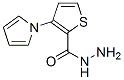 2-Thiophenecarboxylicacid,3-(1h-pyrrol-1-yl)-,hydrazide(9ci) Structure,478050-34-9Structure