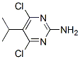 4,6-二氯-5-(1-甲基乙基)-2-氨基嘧啶结构式_500161-46-6结构式