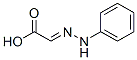 (E)-(9CI)-(苯基亚肼基)-乙酸结构式_50705-98-1结构式