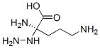 Alpha-肼基鸟氨酸结构式_50865-98-0结构式