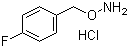 1-[(氨基氧基)甲基]-4-氟苯盐酸盐结构式_51572-89-5结构式