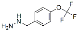 4-Trifluoromethoxy-benzyl-hydrazine Structure,51887-20-8Structure