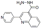 2-吡啶-4-喹啉-4-羧酸肼结构式_5206-34-8结构式