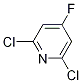 2,6-Dichloro-4-fluoropyridine Structure,52074-49-4Structure