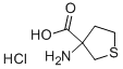 3-氨基-四氢-噻吩-3-羧酸盐酸盐结构式_53747-09-4结构式