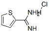 2-脒基噻酚盐酸盐结构式_54610-70-7结构式