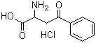 Alpha-氨基-gamma-氧代-苯丁酸盐酸盐结构式_54631-37-7结构式