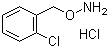 1-[(氨基氧基)甲基]-2-氯苯氯结构式_5555-48-6结构式