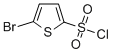5-溴噻吩-2-磺酰氯结构式_55854-46-1结构式