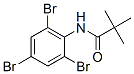 Propanamide,2,2-dimethyl-n-(2,4,6-tribromophenyl)- Structure,56619-92-2Structure