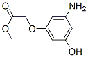 (9ci)-(3-氨基-5-羟基苯氧基)-乙酸甲酯结构式_575474-39-4结构式