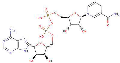 单核苷酸的结构式_核苷酸结构简式怎么画_核苷酸结构式