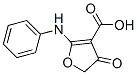 2-苯胺-4-氧代-4,5-二氢呋喃-3-羧酸结构式_58337-23-8结构式
