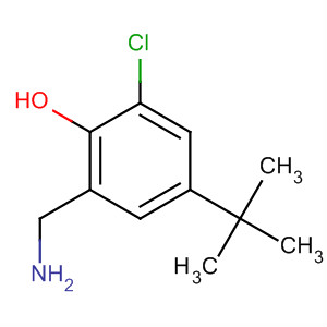 2-(氨基甲基)-4-叔丁基-6-氯苯酚结构式_58456-93-2结构式