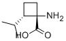 (1s,2s)-(9ci)-1-氨基-2-(1-甲基乙基)-环丁烷羧酸结构式_587829-78-5结构式