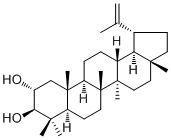 2ALPHA-羟基羽扇豆醇结构式_61448-03-1结构式