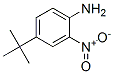 4-Tert-butyl-2-nitroaniline Structure,63101-90-6Structure