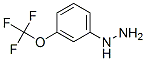 Hydrazine, [3-(trifluoromethoxy)phenyl]- Structure,650628-49-2Structure