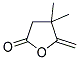 4,4-Dimethyl-5-methylene-dihydrofuran-2(3H)-one Structure,65371-43-9Structure