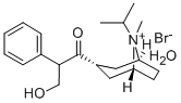 异丙托溴铵结构式_66985-17-9结构式