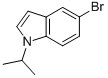 5-溴-1-异丙基-1H-吲哚结构式_675827-10-8结构式