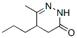 3(2H)-pyridazinone, 4,5-dihydro-6-methyl-5-propyl-(9ci) Structure,679405-97-1Structure