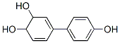 3,5-Cyclohexadiene-1,2-diol, 4-(4-hydroxyphenyl)-(9ci) Structure,69432-59-3Structure